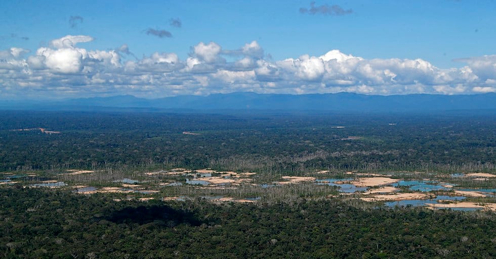 La restauración de 759 hectáreas afectadas por la minería ilegal al interior de la Reserva Nacional Tambopata, en Madre de Dios, es resultado de un trabajo conjunto entre el Ministerio del Ambiente (Minam) y otros sectores del Poder Ejecutivo, el gobierno regional y los municipios locales, además del apoyo de la cooperación internacional. (Foto: Minam)