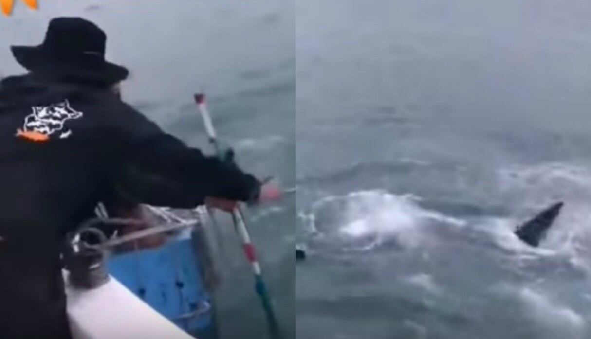 El joven estaba atrayendo al tiburón con un cebo, pero no reaccionó lo suficientemente rápido. (Foto: Captura/YouTube)