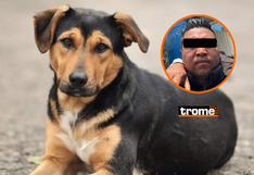 Sergio ‘N’, el despiadado sujeto que lanzó a un perrito en aceite hirviendo: ¿cuánto dinero ofrecieron por su captura?