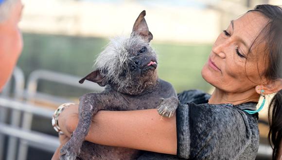 Mr. Happy Face fue adoptado por Jeneda Benally hace 10 meses, tras ver al anciano perro en un refugio. Ahora es el perro más feo mundo. (Foto: JOSH EDELSON / AFP)