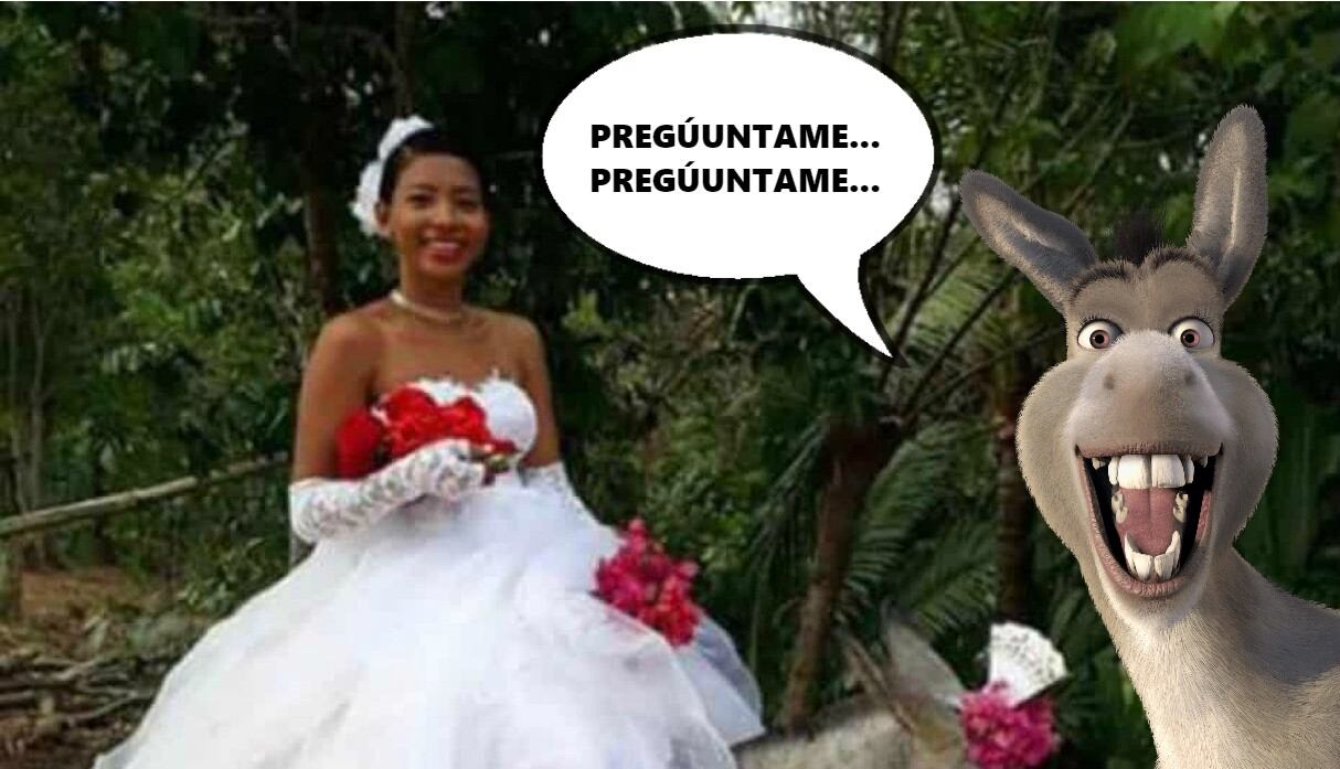Noticias insólitas: Novia da una lección de humildad al llegar en burro a su propia boda | México