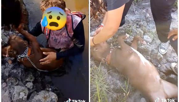 Video de un perro a putno de morir ahogado se hace viral en TikTok. (Foto: @tabaresdanna / TikTok)