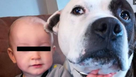 La madre de familia contó lo que sintió tras conocer que su perro de toda la vida, había mordido fuertemente a su hijo de dos años. (Foto: Captura)