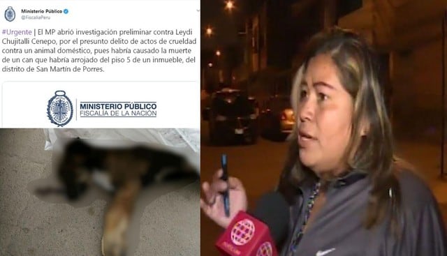 Mujer arrojó a perrito desde quinto piso y lo mató, Ministerio Público se pronuncia