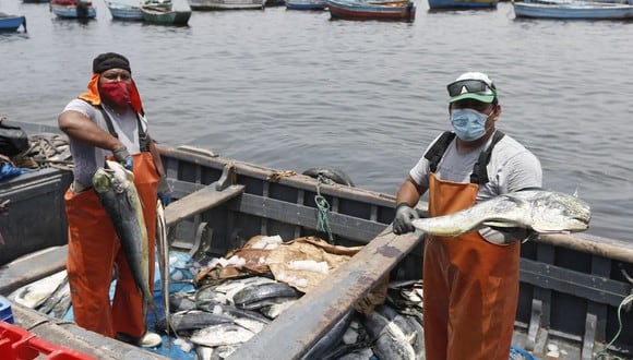 Muchos pescadores se han visto afectados por el derrame de petróleo. (Foto: GEC)

























(Foto: Jorge Cerdán / GEC)
