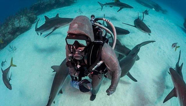 Cristina Zenato mete la mano en la boca de los tiburones para ser su "dentista". (Instagram | cristinazenato)