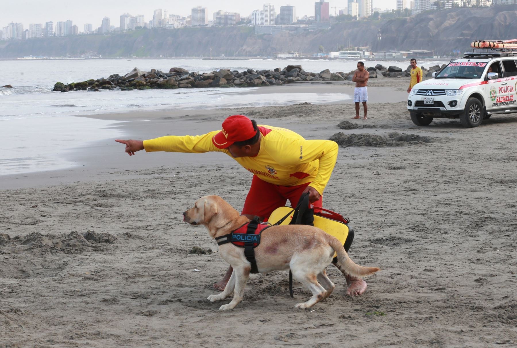 Canes están preparados para rescatar y salvar vidas en el mar.
