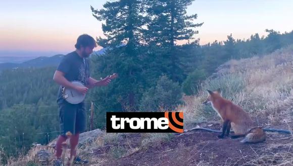 Un músico toca el banjo para un zorro en una zona boscosa de Colorado, Estados Unidos. | Crédito: Andy Thorn — ThornHub / YouTube