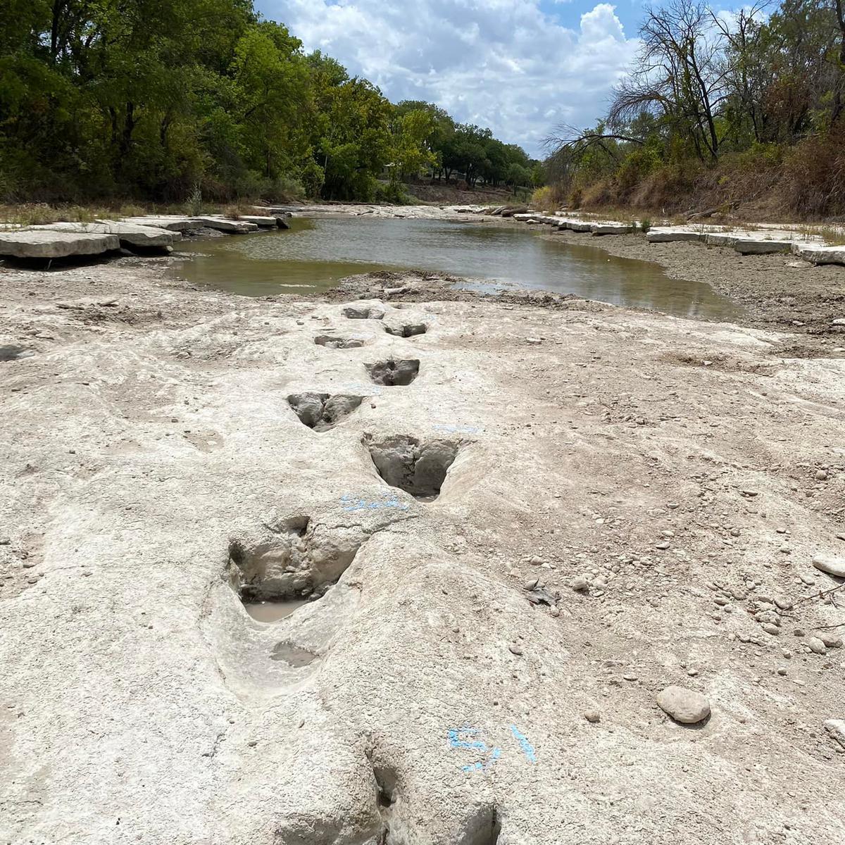 Estados Unidos | Sequía extrema deja al descubierto huellas de dinosaurios  en un parque de . | Parque Estatal del Valle | Dinosaurio | sequía |  Texas | RMMN | MUNDO 