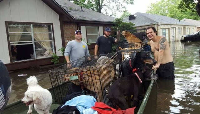 Rescate de animales durante el Huracán Harvey. Foto: Facebook / Betty Walter