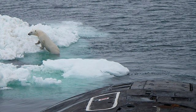 El oso polar se trepó sobre el submarino nuclear ruso en las aguas del Ártico. Las imágenes son viral entre los usuarios de Facebook. (Twitter)