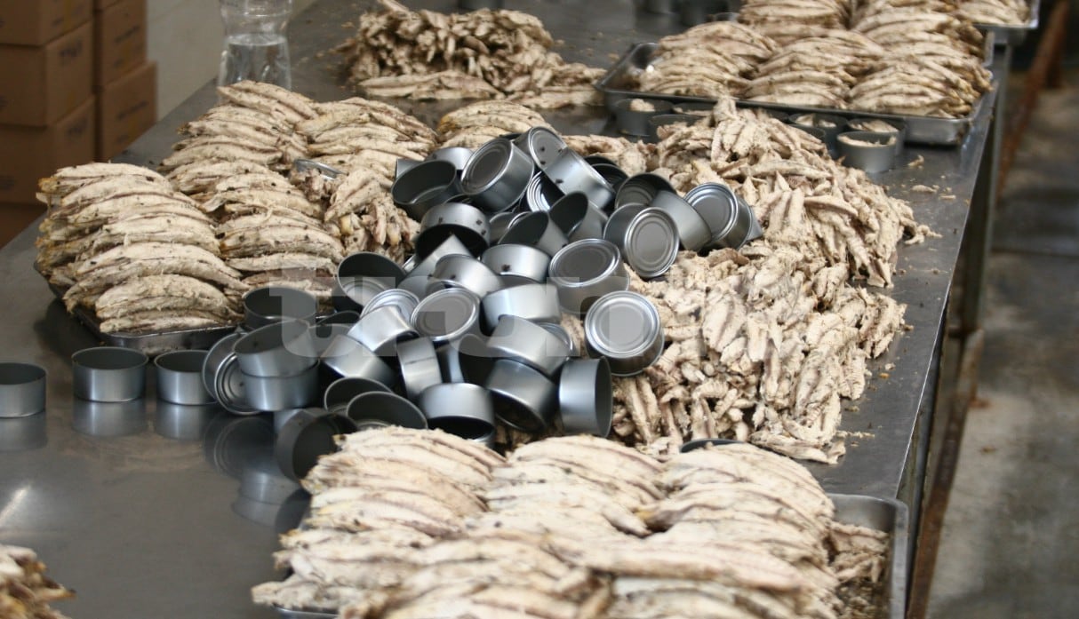 Sacan del mercado conservas de pescado producidas por empresa china y que eran consideradas un peligro
