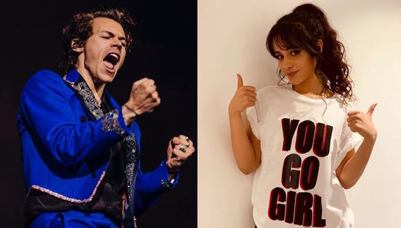 Harry Styles y Camila Cabello aplazan sus giras europeas debido al coronavirus. (Foto: Instagram)