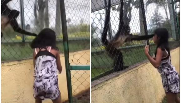 Niña fue sorprendida por mono cuando intentó golpearlo. (Foto: @greciadlg29 / TikTok)