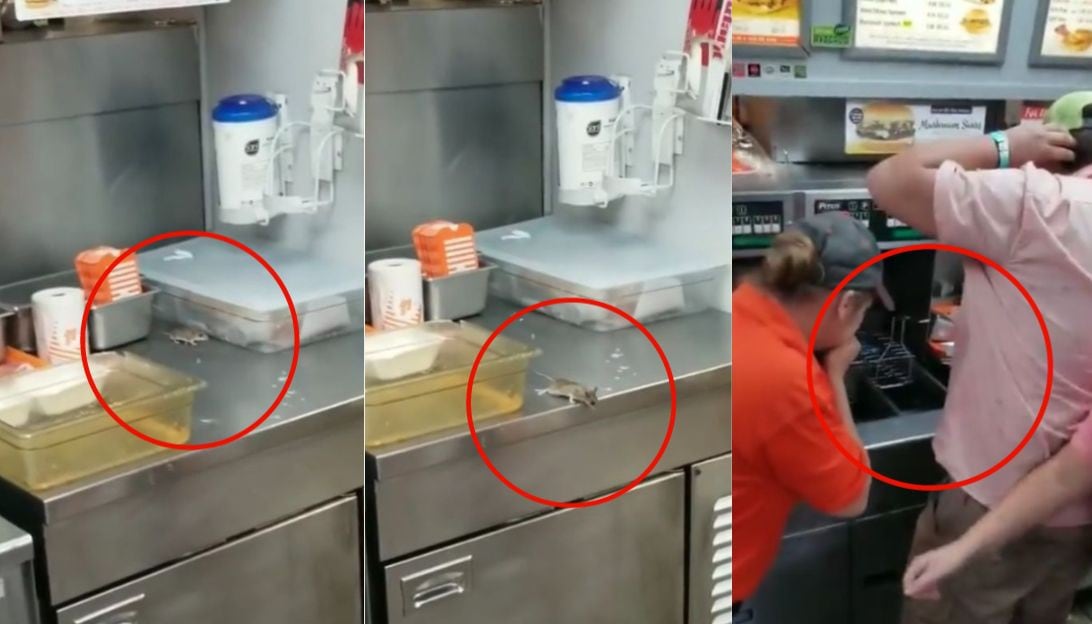 Ratón cae a freidora de un conocido restaurante, muere frito y así reaccionan los trabajadores