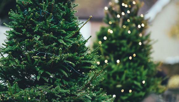 El arbolito de Navidad es un clásico adorno para las celebraciones en estas fechas. (Foto referencial: Annie Spratt / Pixabay)