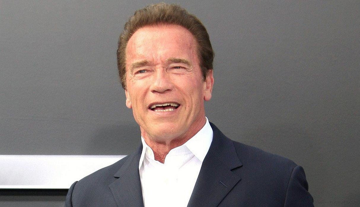 Arnold Schwarzenegger fue agredido durante un evento en Sudáfrica. (Foto: EFE)