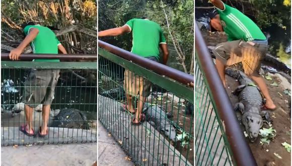 Un hombre en estado de ebriedad ingresa a un hábitat de cocodrilos y los patea: “no me faltes el respeto”. (Foto: @Elinformantetam)