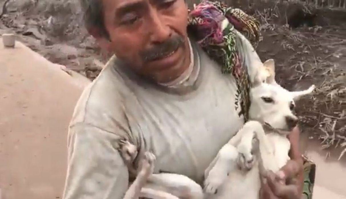 Hombre vuelve a su casa para rescatar a su perrita tras erupción de volcán de Fuego. Foto: Facebook