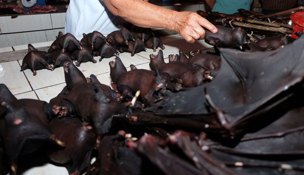 En la isla de Célebes, los vendedores de un mercado en Tomohon conocido por su sorprendente oferta de animales exóticos a consumir a la parrilla o estofados, dicen que el negocio va bien. (AFP).