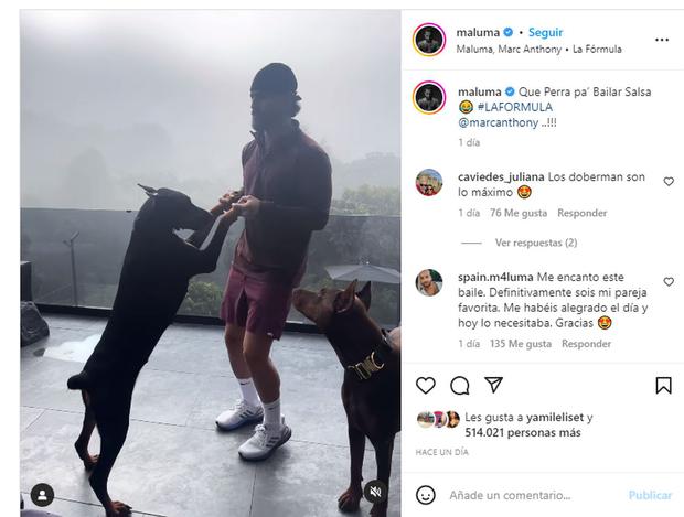 Maluma: su curiosa pareja de baile al ritmo de Marc Anthony | Celebs de  Estados Unidos nndatl | USA 