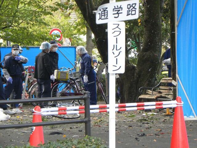 Jubilado japonés se suicida con una bomba en un parque. (AFP)