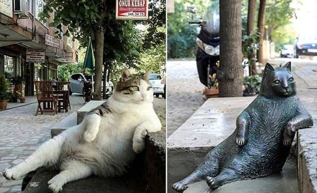 El gato se llama Tombili y e se hizo famoso hace unos años tras popularizarse su foto en las redes. Ahora, una estatua de bronce le honra en Estambul