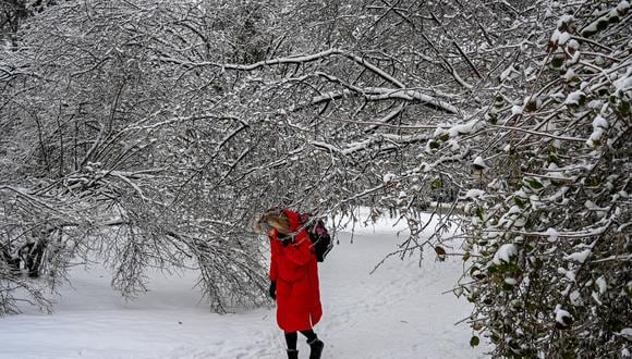 Una mujer camina en un parque cubierto de nieve después de una nueva nevada en la ciudad de Lviv, en el oeste de Ucrania, el 13 de diciembre de 2022, en medio de la invasión rusa de Ucrania. (Foto de YURIY DYACHYSHYN / AFP)
