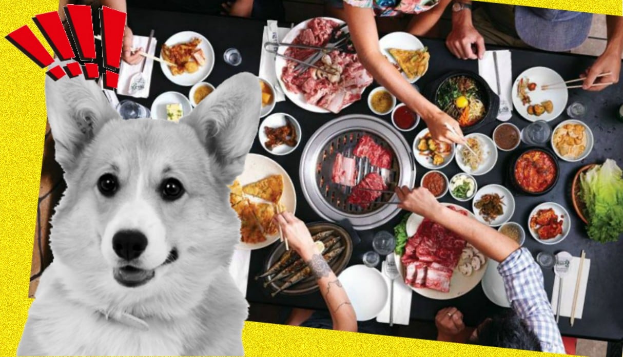 ¡Insólito! Granjero en Corea del Sur mata al perro de su vecino... ¡y lo invita a comérselo! (Fotos: Trome/AP)