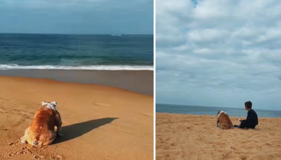 La perrita disfruta con sus amos los últimos días de su vida. Estuvo muy feliz en el paseo por la playa. (Foto: @primotaccaneto)