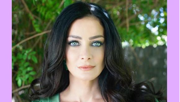 Ex reina de belleza Dayanara Torres ahora es una empresaria. (Foto: Dayanara Torres / instagram)