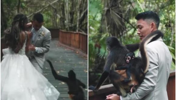 Mono se cuela en sesión de fotos de boda y el resultado se viraliza. (Foto: @sophiengooo / Instagram)