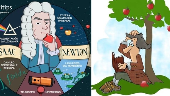 Recuerda la historia de Isaac Newton y la manzana.