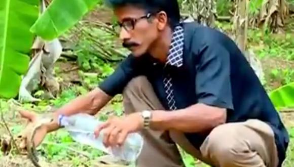 Un video viral muestra cómo un hombre da de beber agua a una sedienta cobra. | Crédito: @susantananda3 / Twitter.