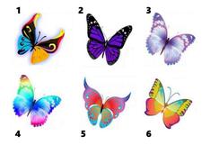 Test visual: Elige una mariposa y descubre un lado de tu personalidad que desconocías