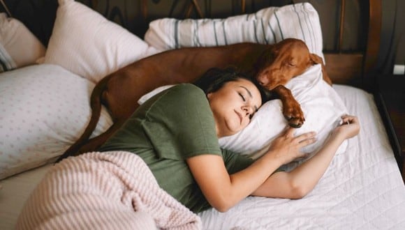 Ventajas y desventajas de dormir con tu mascota en la misma cama.