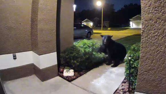 Pareja salió a pasear junto a su perro y fue perseguida por un oso: video se volvió viral en redes. (Foto: ViralHog)
