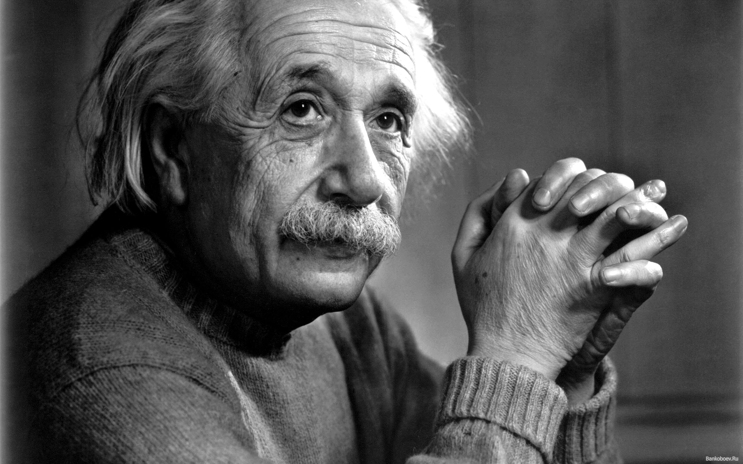 Las últimas reflexiones científicas de Albert Einstein son subastadas hoy en Israel. El precio de los artículos oscilan entre 31 mil y los 46 mil dólares.