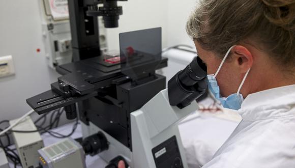Un investigador observa células con un microscopio en un laboratorio de la Universidad de Tours, en el centro de Francia.  (Foto referencial: GUILLAUME SOUVANT / AFP)