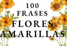 ▷ 100 Frases de Flores Amarillas en México – las mejores dedicatorias de amor para envíar a tu pareja