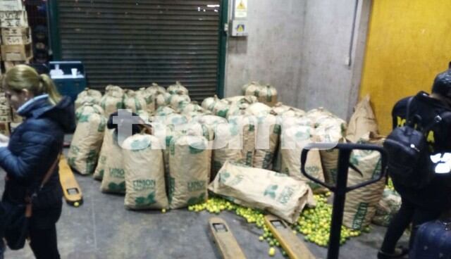 Incautan más de 400 kilos de marihuana escondidos en sacos de limones en el mercado mayorista. Foto: Mónica Rochabrum