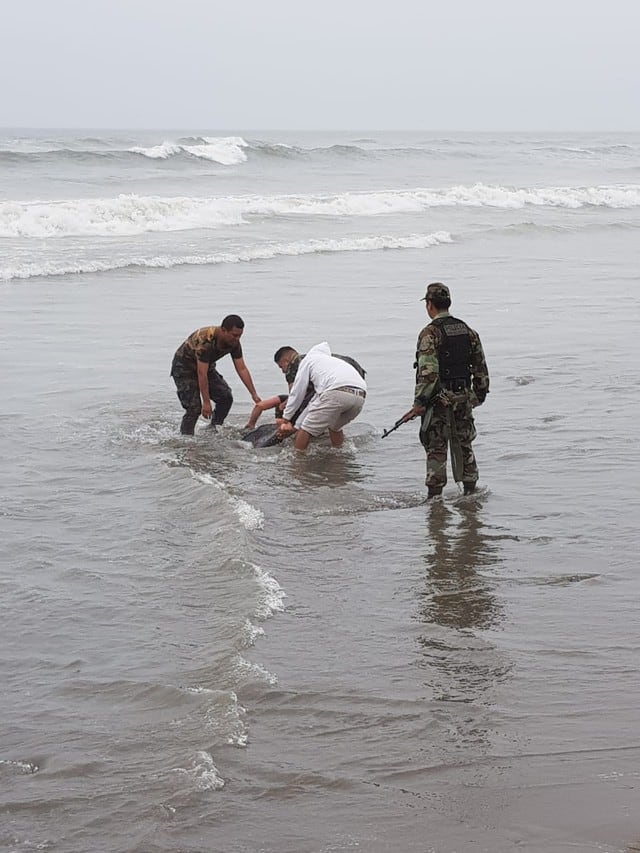 Los agentes de la PNP intentaron rescatar a la mujer que puso resistencia para salir del mar. (Foto: PNP)