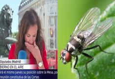 Reportera española pasa la vergüenza de su vida por casi tragar una mosca en vivo
