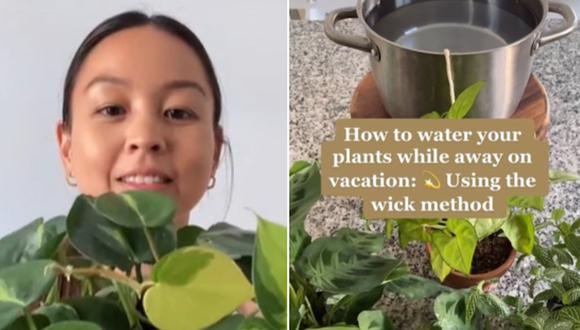 En esta imagen se aprecia a la mujer que compartió su truco para mantener las plantas regadas cuando no se está en casa por vacaciones. (Foto: @selfcareplants / TikTok)