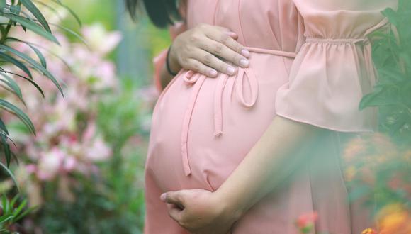 Las leyes de aborto en Florida prohíben el procedimiento después de las 15 semanas de embarazo. (Foto referencial: Pixabay)
