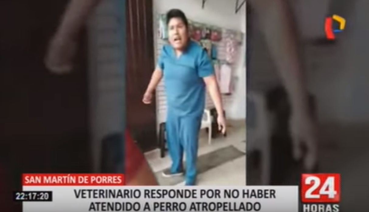 El veterinario que se agarró a golpes con un sujeto que le llevó un can moribundo, contó que decidió aplicar la eutanasia al perro para "que no siga agonizando". (Capturas: 24 Horas)