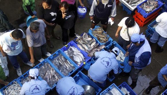 Precios del pescado se mantienen informaron los comerciantes del terminal pesquero de Ventanilla en el marco del Día de San Pedro y San Pablo. (Foto:  Andina)