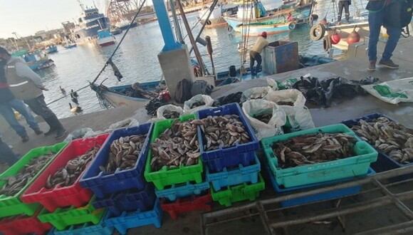 Piura: Fiscalía intervino una embarcación que realizaba pesca ilegal en mar de Talara (Foto: Ministerio Público)