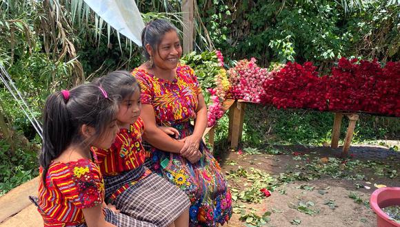 Documental presenta la industria del cultivo de flores en Guatemala. (Difusión)