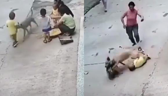 Al darse cuenta de que el pequeño estaba siendo atacado por un perro callejero, el can se lanzó para defenderlo sin perder ni un solo segundo. (Twitter: @freddyzur)